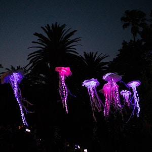 Spier Light Art 1 Spier Light Art 1